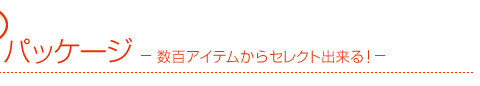 数百アイテムからセレクト出来る!