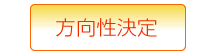 方向性決定